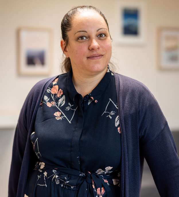 Image Sollo Formation