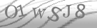 captcha-2