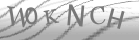 captcha-2