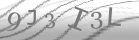 captcha-3