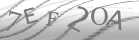 captcha-4