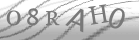 captcha-4