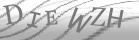 captcha-9