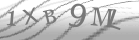 captcha-9