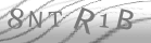 captcha-9