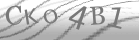 captcha-9