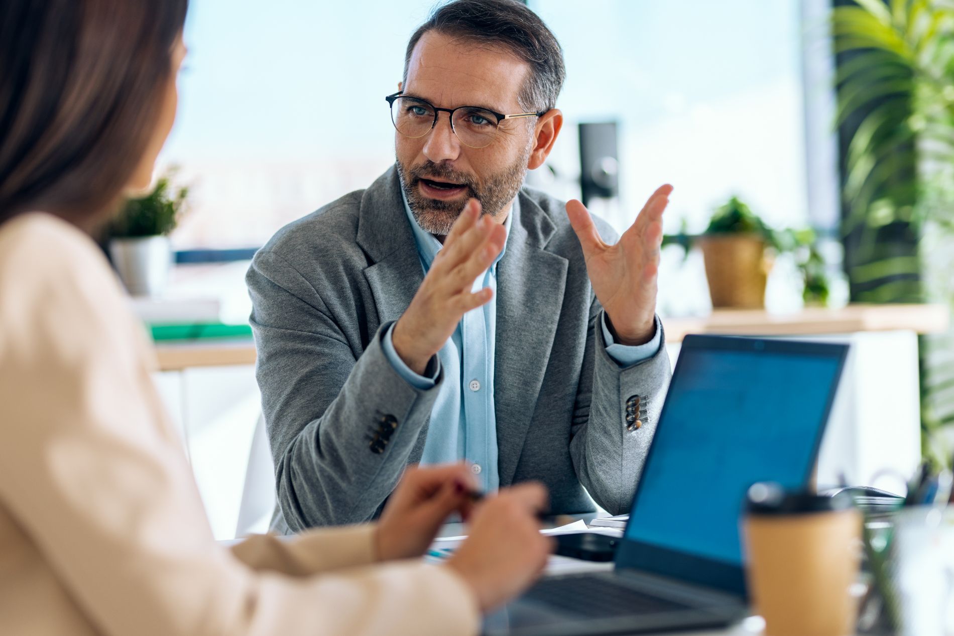 Sollo Formation illustration