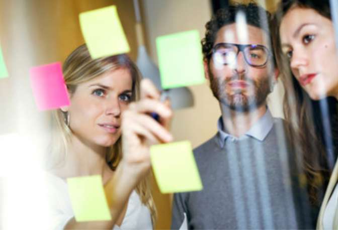 Gestion de projet et expertise métier